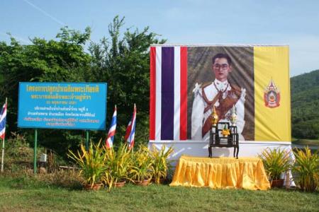 โครงการปลูกป่าเฉลิมพระเกียรติ หมู่ที่ 6